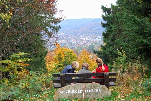 Ferienwohnungen Am Elfenstein Bad Harzburg Eksteriør billede