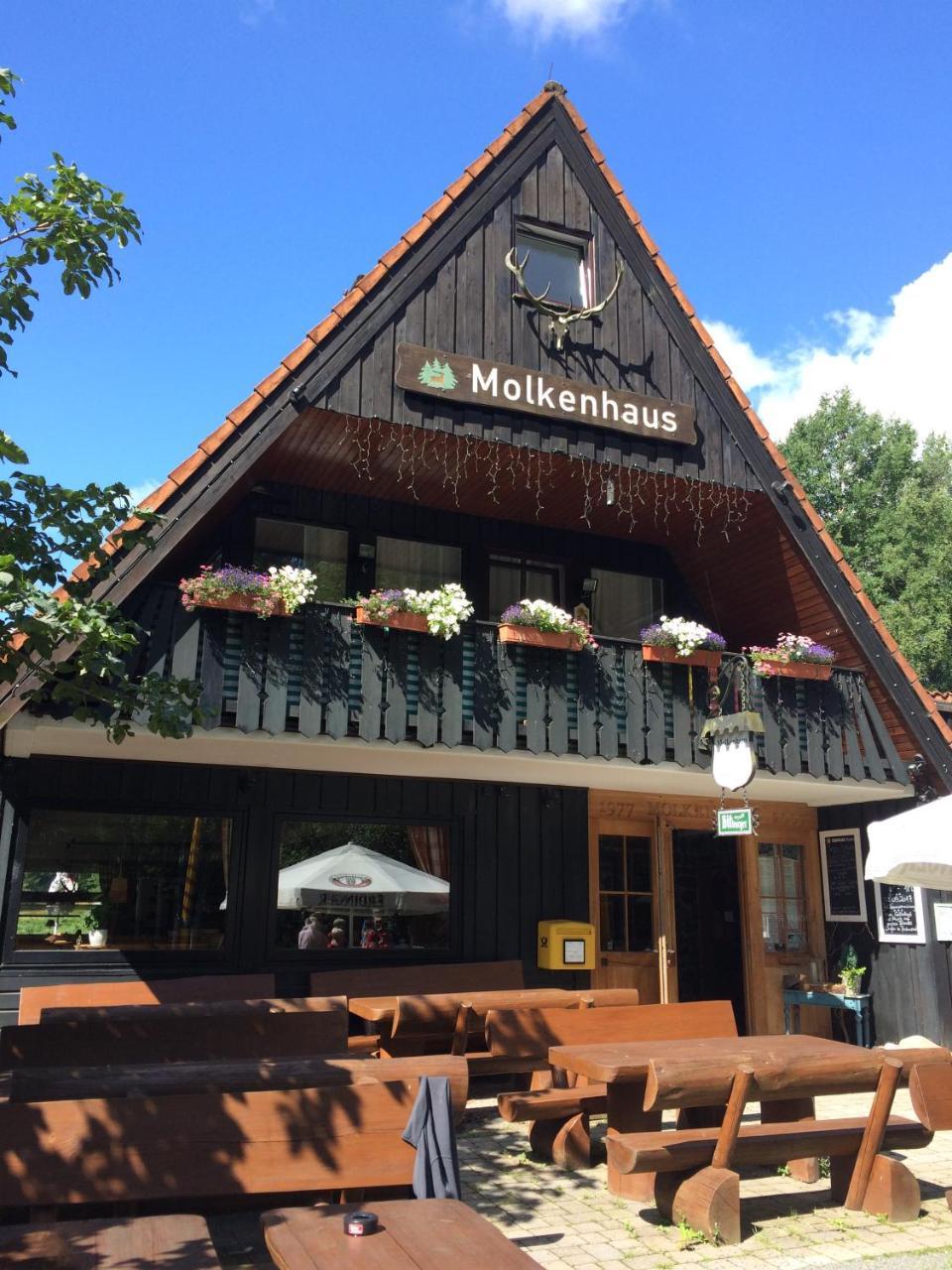 Ferienwohnungen Am Elfenstein Bad Harzburg Eksteriør billede
