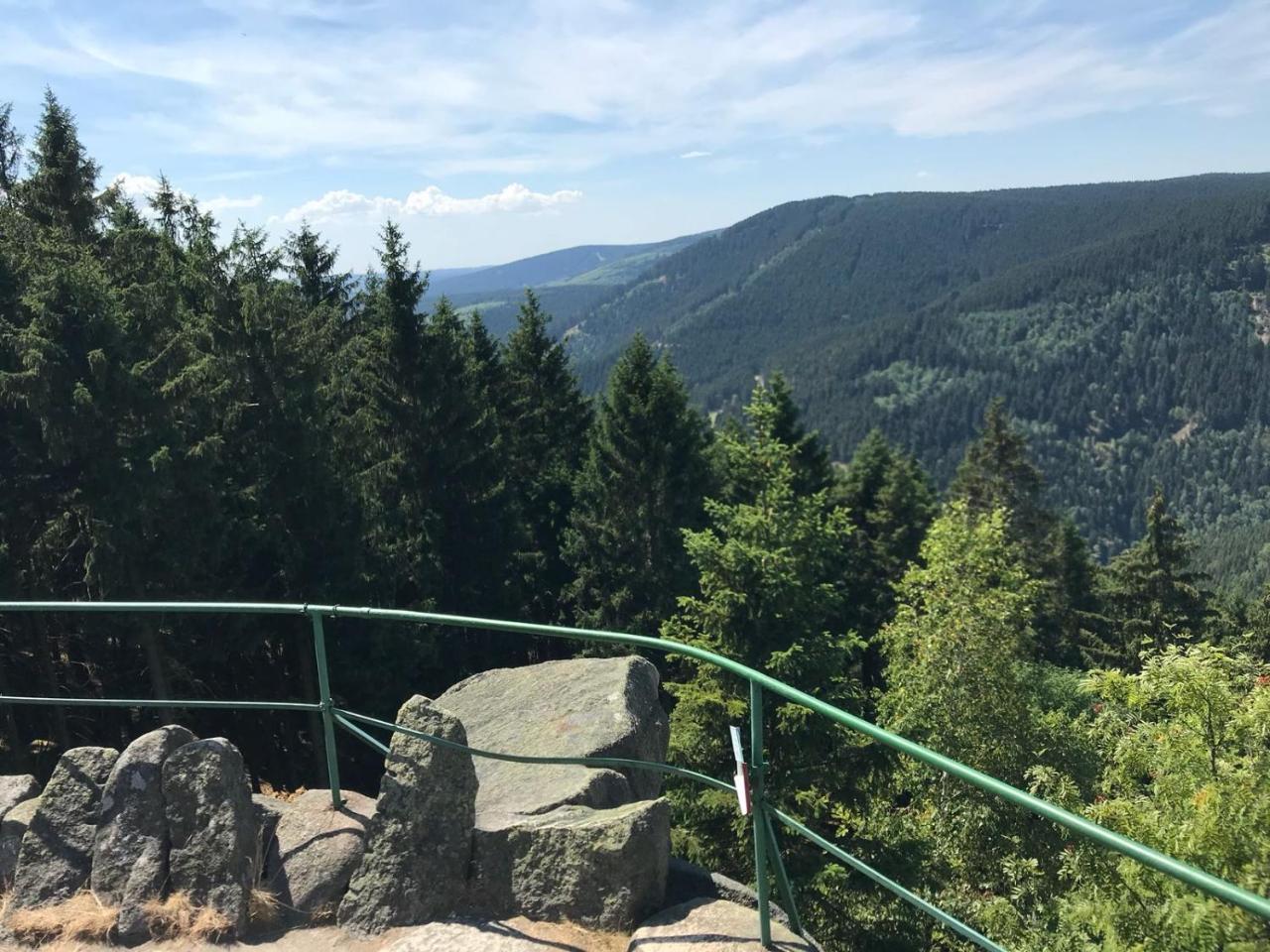 Ferienwohnungen Am Elfenstein Bad Harzburg Eksteriør billede